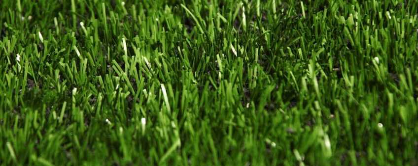Monofilament Serisi – Lion Grass_5d44d75873609.jpeg