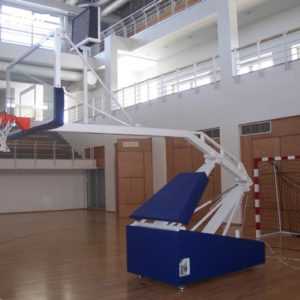 Profesyonel NBA Tip Basketbol Potası 164b