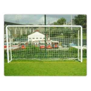 Selex (2,5 mm 12x12 Beyaz Futbol Kale Ağı)